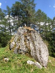 Pfitschertal Südtirol1.jpg